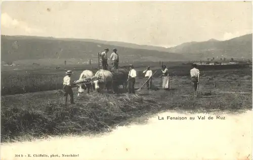 La Fenaison au Val de Ruz -685654