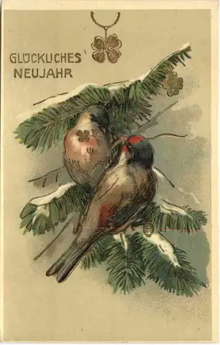 Neujahr - Vögel -686064