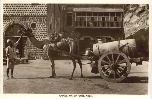 Aden - Camel Water Cart -697778