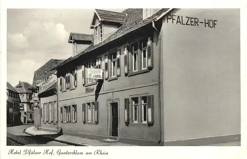 Guntersblum am Rhein - Hotel Pfälzer Hof -705078