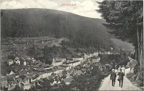 Wildbad -710354