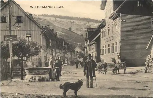 Wildemann im Harz -719528