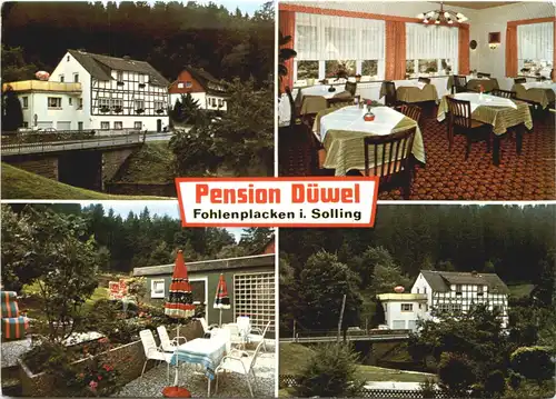 Fohlenplacken im Solling - Pension Düwel -719630