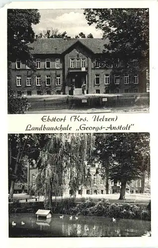 Ebstorf - Kr. Uelzen - Landbauschule Georgs Anstalt -719924