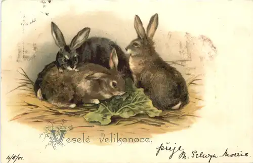 Ostern - Hasen -721830