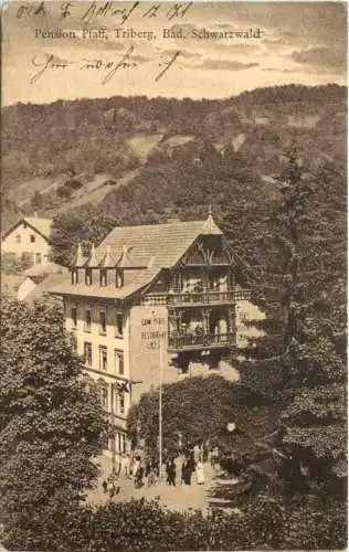 Triberg - Pension Pfaff -730142