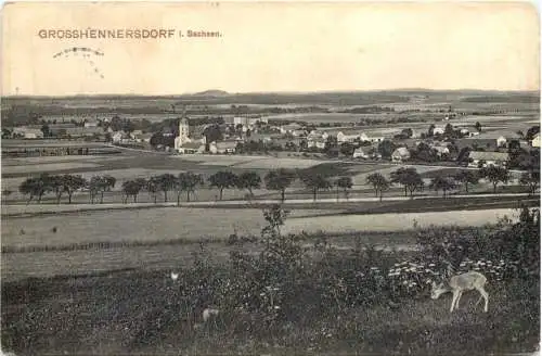 Grosshennersdorf in Sachsen -738394