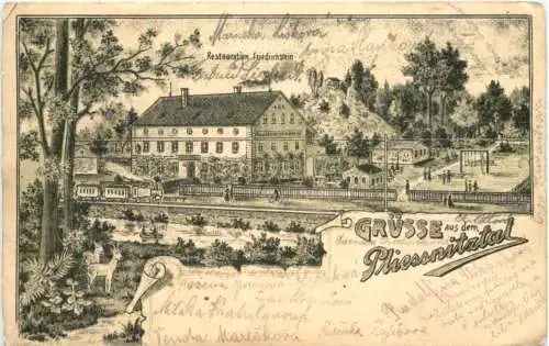 Gruss au dem Pliessnitztal - Restauration Friedrichstein - Litho -739394