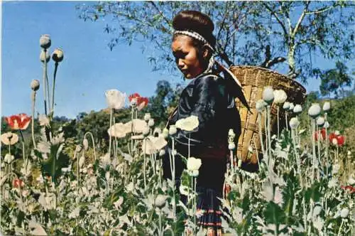 Thailand - Meo hill Tribe Girl -743498