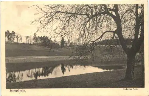 Schopfheim im Wiesental - Eichener See -749980