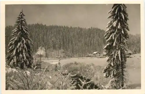 St. Blasien - Gasthof zum Tannhäuser -757416