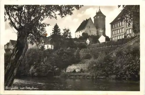 Besigheim mit Schulhaus -759394