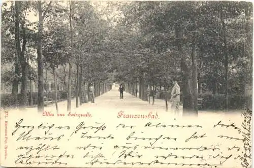 Franzensbad - Allee zur Salzquelle -765040