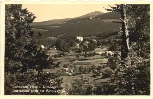 Hain im Riesengebirge -765996