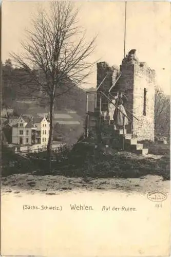 Wehlen - Auf der Ruine -768246