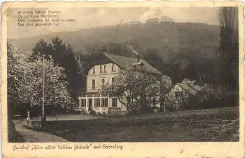 Königswinter am Rhein - Gasthof zum kühlen Grunde -768488