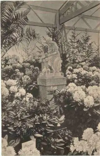 Dresden - III. Intern. Gartenbau Ausstellung 1907 -768792