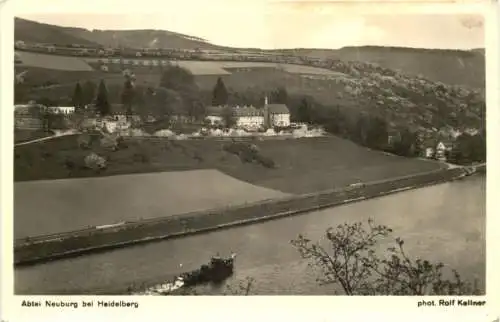 Abtei Neuburg bei Heidelberg -769336