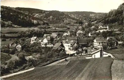 Langenthal über Hirschhorn -769352