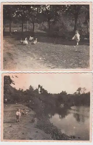 (F7693) 2x Orig. Foto Knittlingen, Kind Hans mit Enten am See, 1931