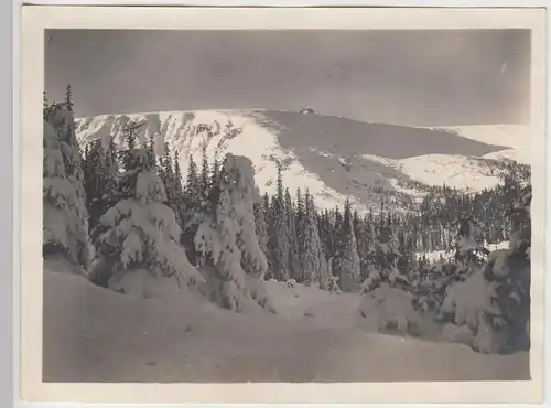 (F5157) Orig. Foto Riesengebirge, Blick zur Prinz-Heinrich-Baude 1934