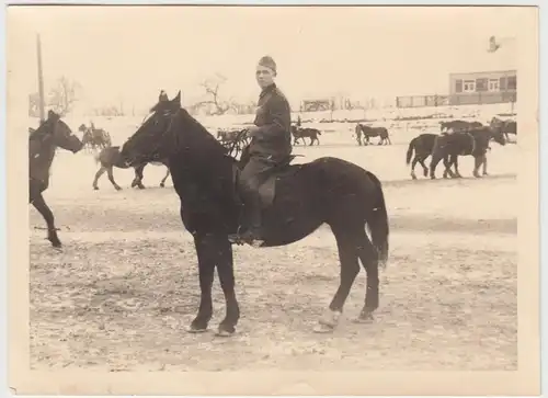 (F10658) Orig. Foto deutscher Soldat Kurt Nied auf dem Pferd, Reitschule o.ä. 19