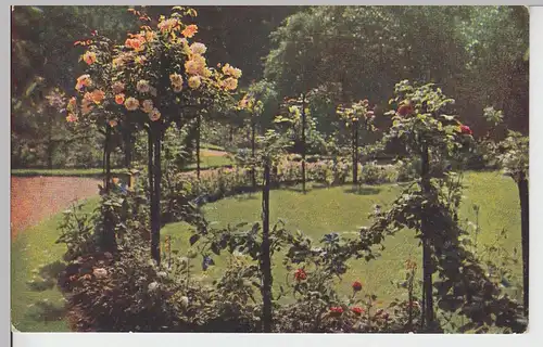 (107666) AK Park mit Blumen, 1912