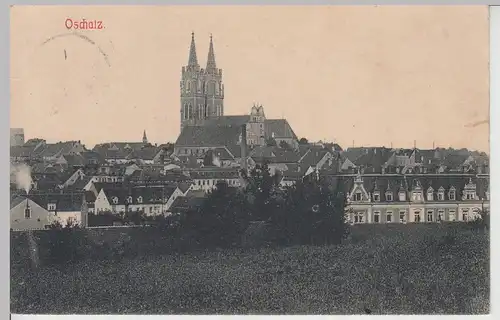 (112990) AK Oschatz, Blick zur St.-Aegidien-Kirche 1910
