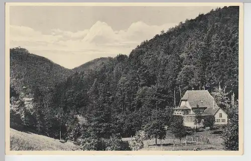 (91486) AK Bad Lauterberg, Harz, St. Hubertusklause, vor 1945