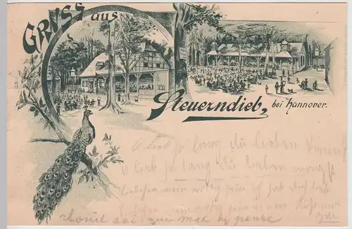 (113633) Künstler AK Gruß aus Steuerndieb bei Hannover, Restaurant 1897