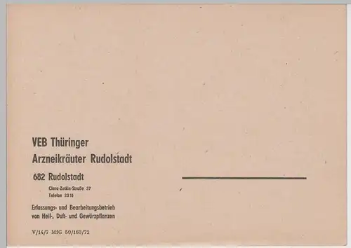 (83233) Postkarte VEB Thüringer Arzneikräuter Rudolstadt 1972