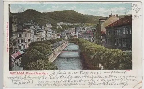(74301) AK Karlsbad, Karlovy Vary, Alte und Neue Wiese, 1905