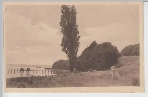 (71380) AK Knapp bei Apenrade (Aabenraa), Badebrücke bei Aubeck, 1919