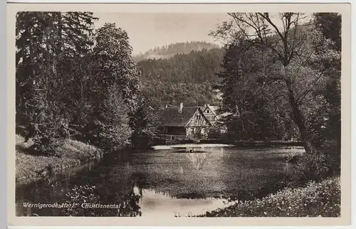 (41722) Foto AK Wernigerode, Christianental, 1935