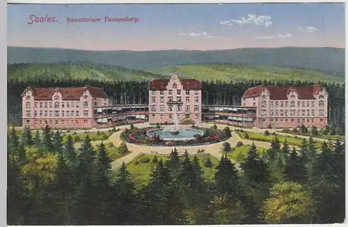 (36601) AK Saales (Frz), Sanatorium Tannenberg, Feldpost 1915