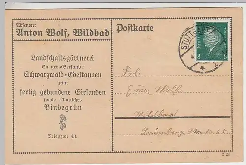 (33929) Postkarte DR v. Landschaftsgärtnerei Anton Wolf, Wildbad 1929