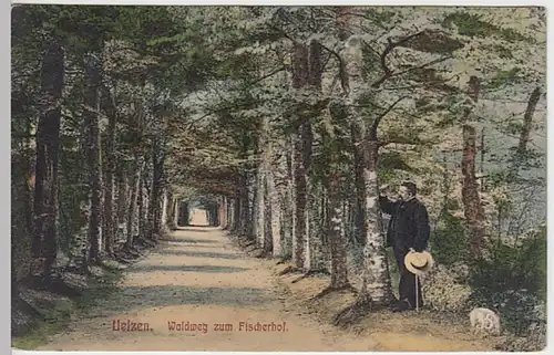 (22589) AK Uelzen, Nieders., Waldweg zum Fischerhof 1907