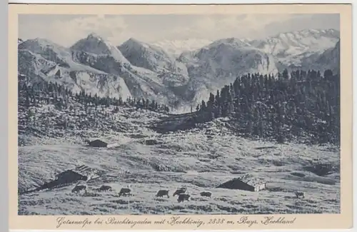 (20449) AK Berchtesgaden, Gotzenalm, Hochkönig, vor 1945