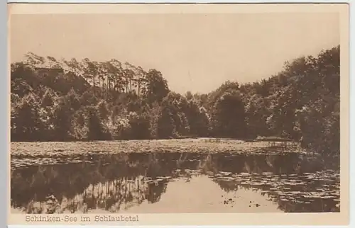 (20161) AK Schinkensee, Brandenburg, vor 1945