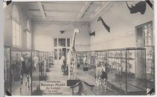 (10225) AK Tervueren, Musée du Congo 1910er