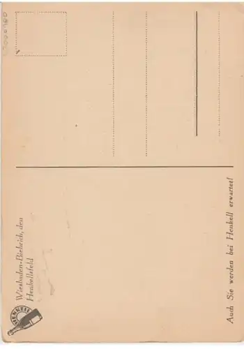 (2566) AK Wiesbaden, Biebrich, Sektkellerei Henkell, vor 1945