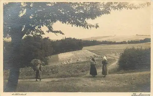 AK - A. Schönbach Buchenweg Landwirtschaft