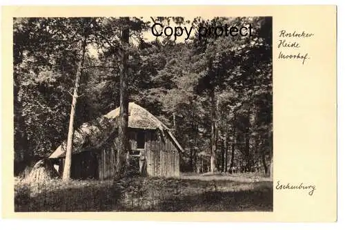 [Echtfotokarte schwarz/weiß] Rostocker Heide Moorhof        Signatur : Eschenburg. 