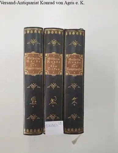 Raabe, Wilhelm: Trilogie: Band 1: Der Hungerpastor. Band 2: Abu Telfan. Band 3: Der Schüddrump
 Mit Bildern von Hermann Gradl. 