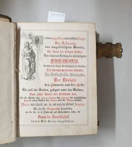 Allioli, Joseph Franz von: Die Heilige Schrift des Alten und Neuen Testaments : Aus der Vulgata übersetzt von Dr. Joseph Franz Allioli. Illustrirte Volksausgabe, enthaltend...