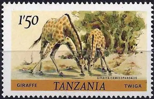 Tansania 1980 - Mi 168 - YT 170 - Tierwelt : Giraffe - MNH