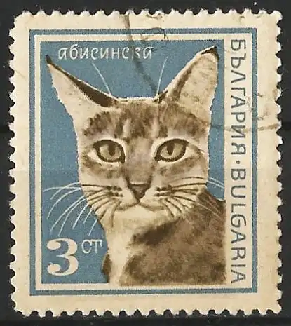 Bulgarien 1967 - Mi 1719 - YT 1507 - Katze