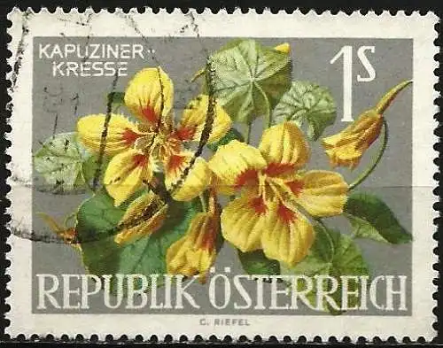 Österreich 1964 - Mi 1145 - YT 983 - Blume : Kapuzinerkresse