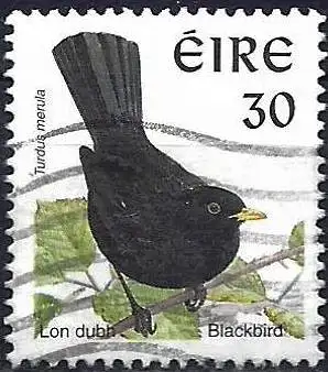 Irland 1998 - Mi 1051 IxA - YT 1058 - Vogel : Amsel - Gezähnt 14 x 15 