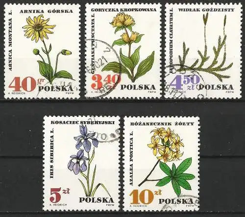 Polen 1967 - Mi 1770... - YT 1625... - Blume